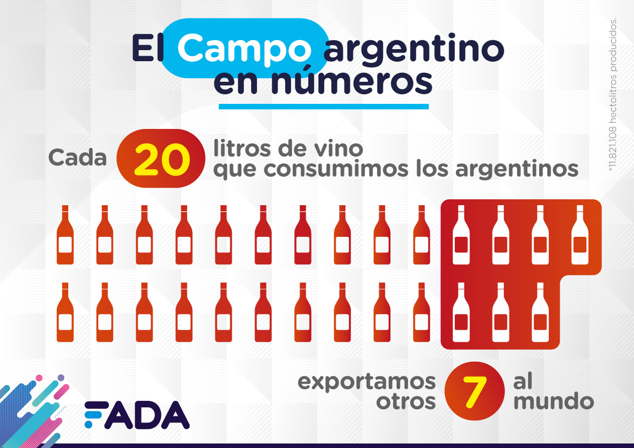 5 Campo en Numeros Vinos