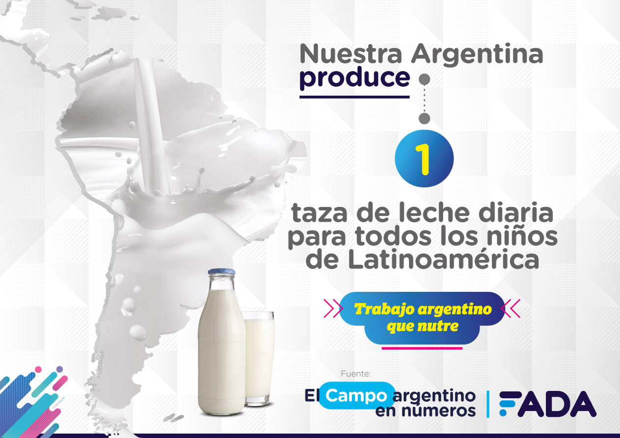 6 Campo en Numeros Leche