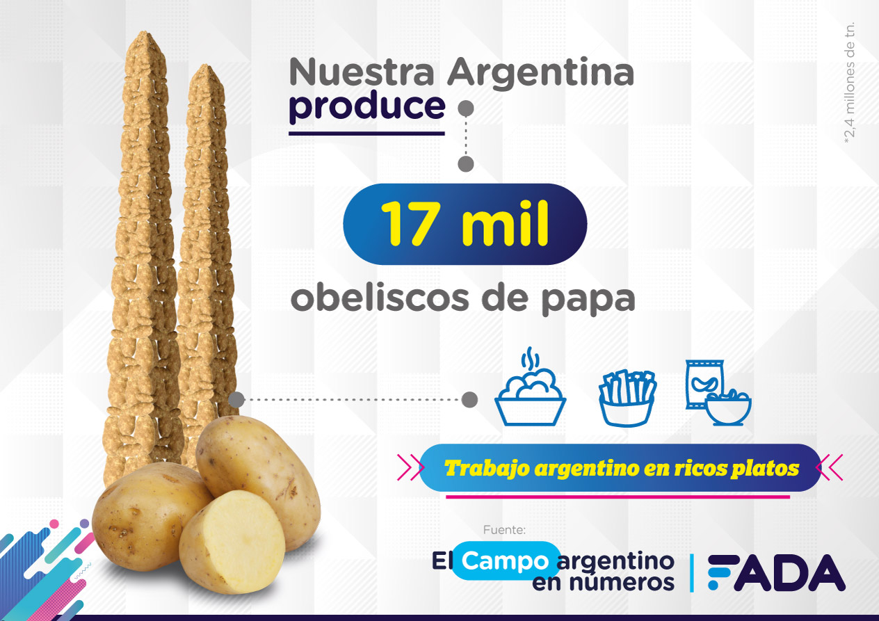 8 Campo en Numeros Papas