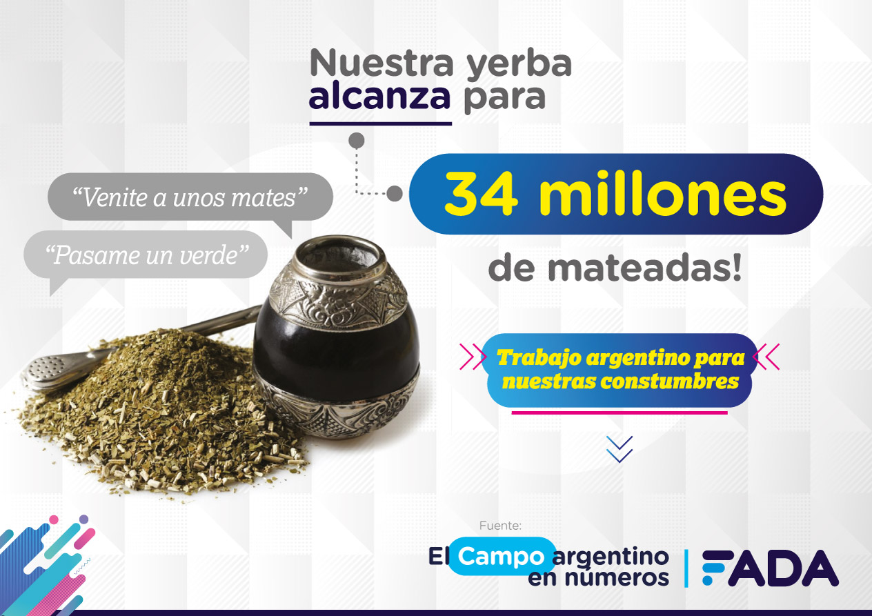 9 Campo en Numeros Yerba