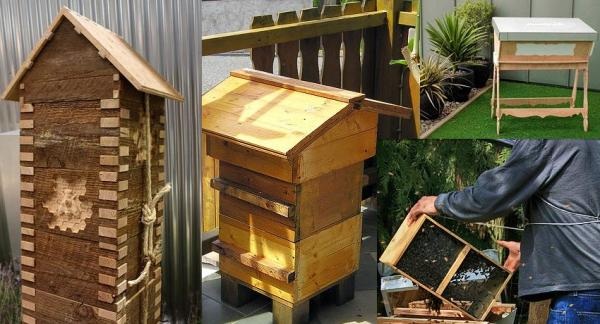 Apicultura Urbana: los beneficios de tener a las abejas en las ciudades 1 abejas ciudad 1
