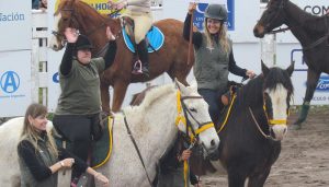 equinoterapia