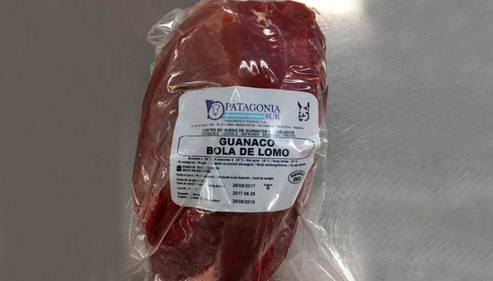 guanaco carne