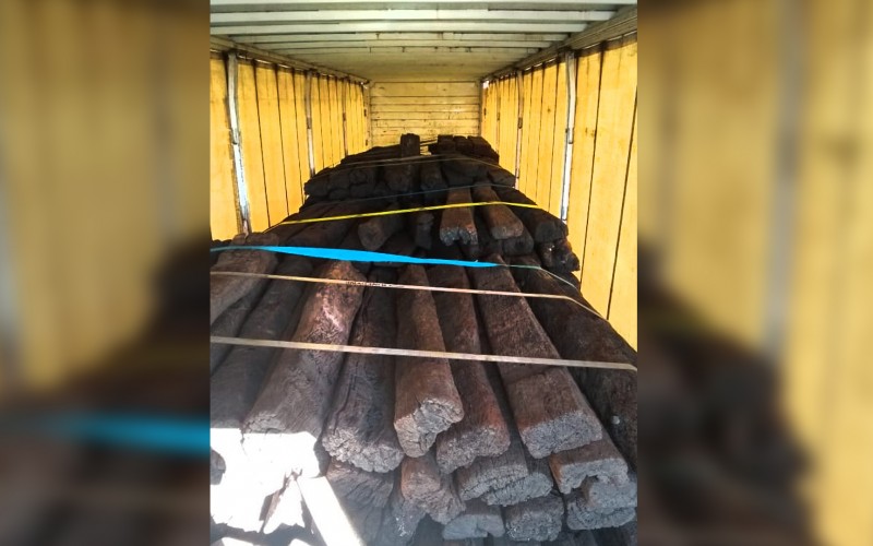 Prohibieron el ingreso de 27 mil kg de quebracho a la Patagonia por cuestiones fitosanitarias 1 quebracho senasa
