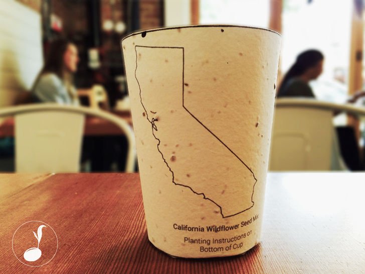 La taza de café que se planta y repone la flora local 1 taza de cafe biodegradable