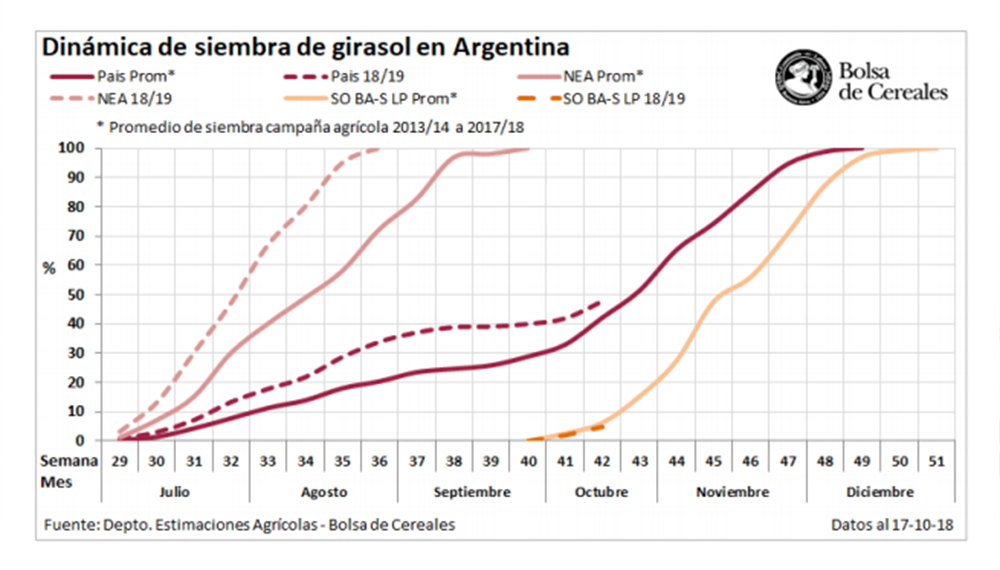 Avance Girasol
