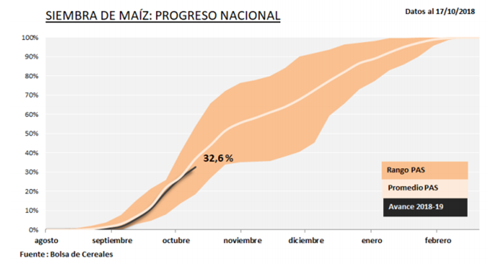 Avance Maíz