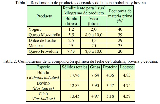 Las características de la leche de búfala y sus diferencias con la bovina 1 leche bufalo
