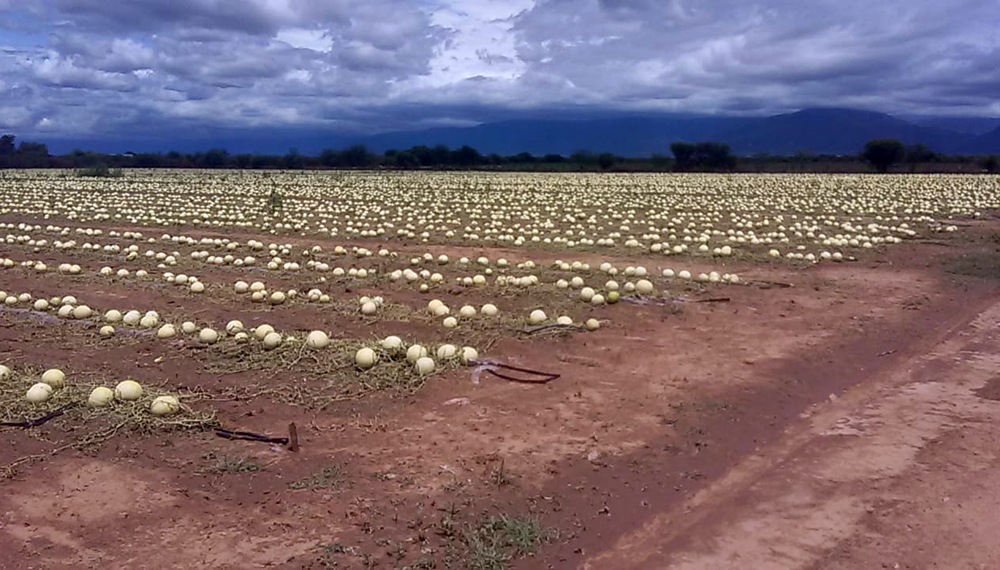 45506153 319096355571696 7960525349727502336 n
