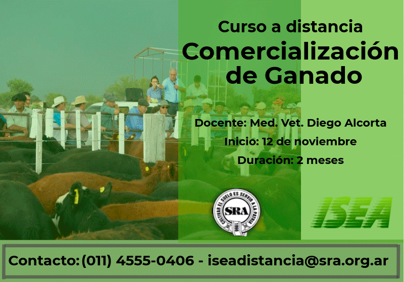ISEA