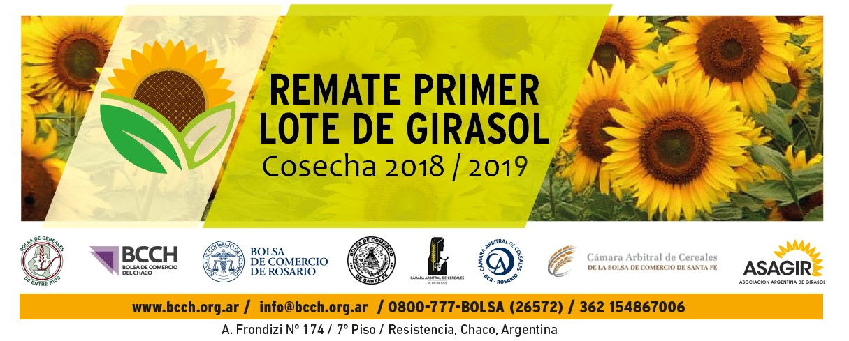 Slide p Certamen 1er Lote de Girasol Cosecha 2018 2019 V2