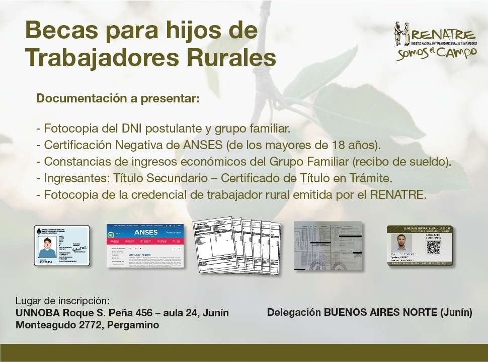 becas renatre unnoba