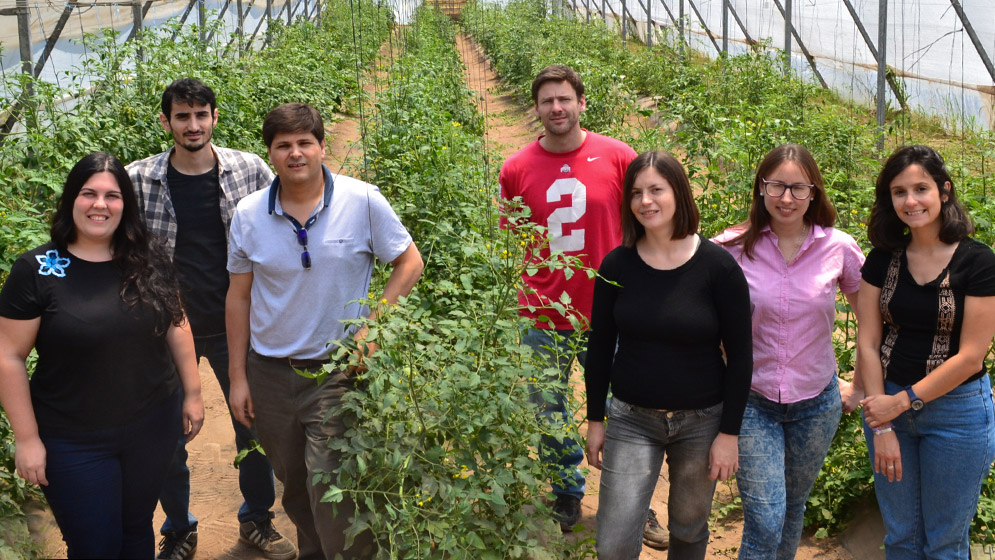 Descubren los procesos genéticos responsables de controlar la forma de los frutos 1 Equipo tomates IICAR