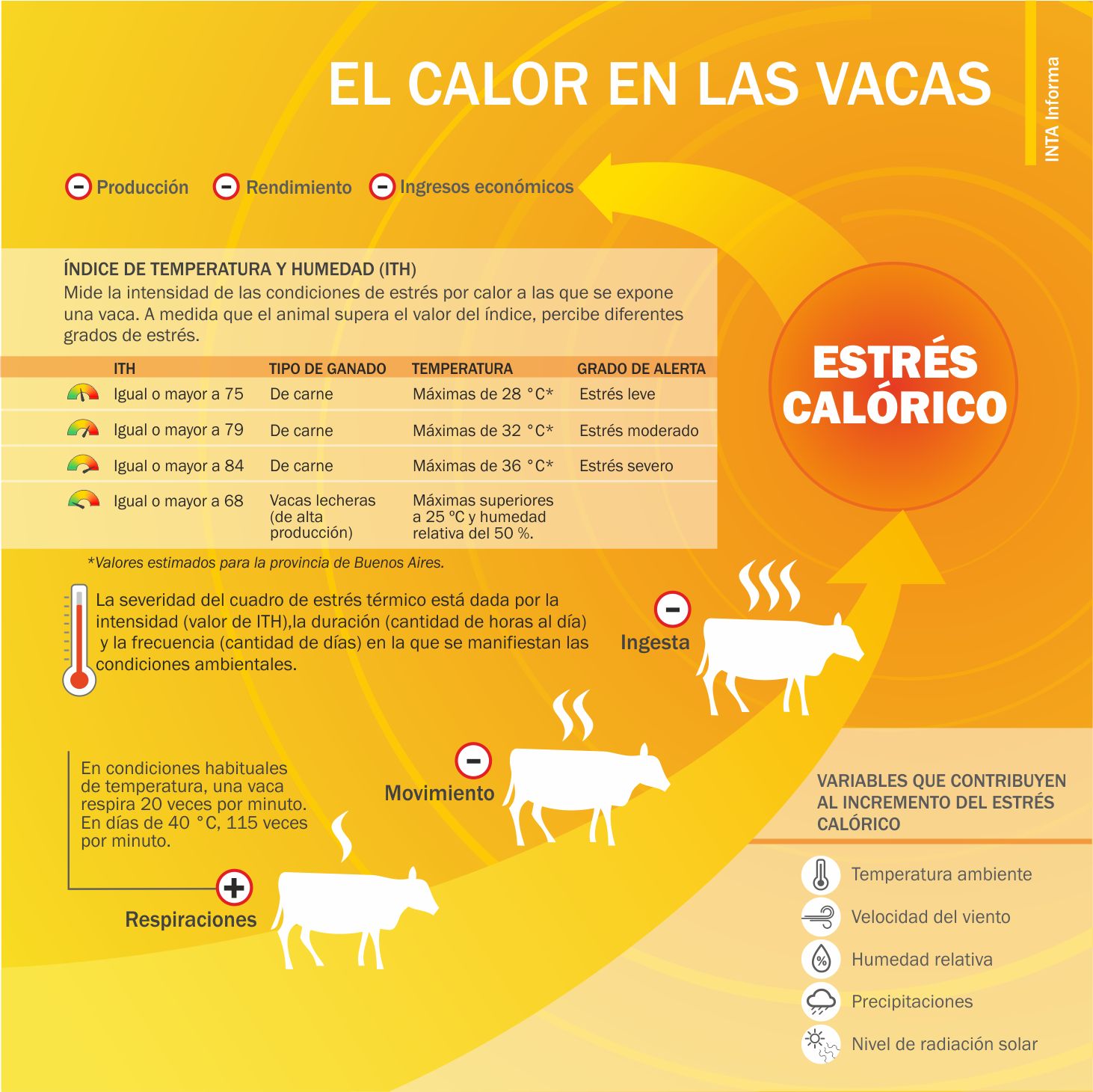 Alerta por estrés calórico en bovinos y las recomendaciones para su manejo 1 Estres Calórico