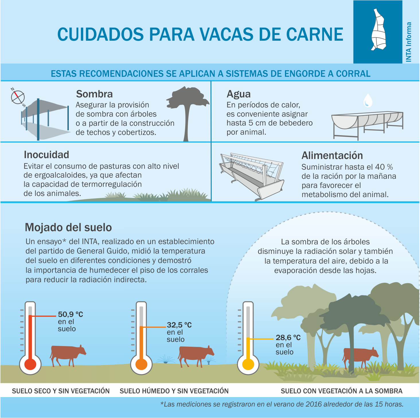 Alerta por estrés calórico en bovinos y las recomendaciones para su manejo 2 Estres calórico1