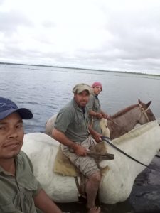 Imágenes y videos de las inundaciones en la localidad santafesina de Calchaquí 2 WhatsApp Image 2019 01 15 at 15.50.11 1