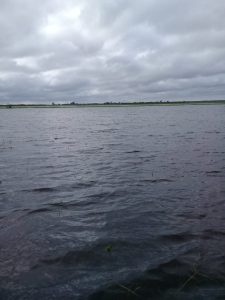 Imágenes y videos de las inundaciones en la localidad santafesina de Calchaquí 4 WhatsApp Image 2019 01 15 at 15.50.12 1