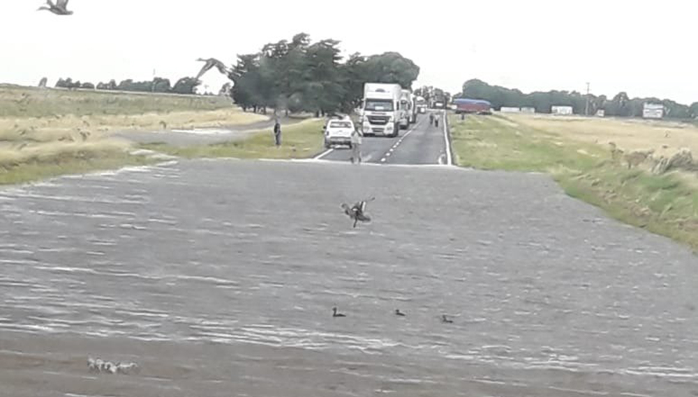 ruta inundaciones1