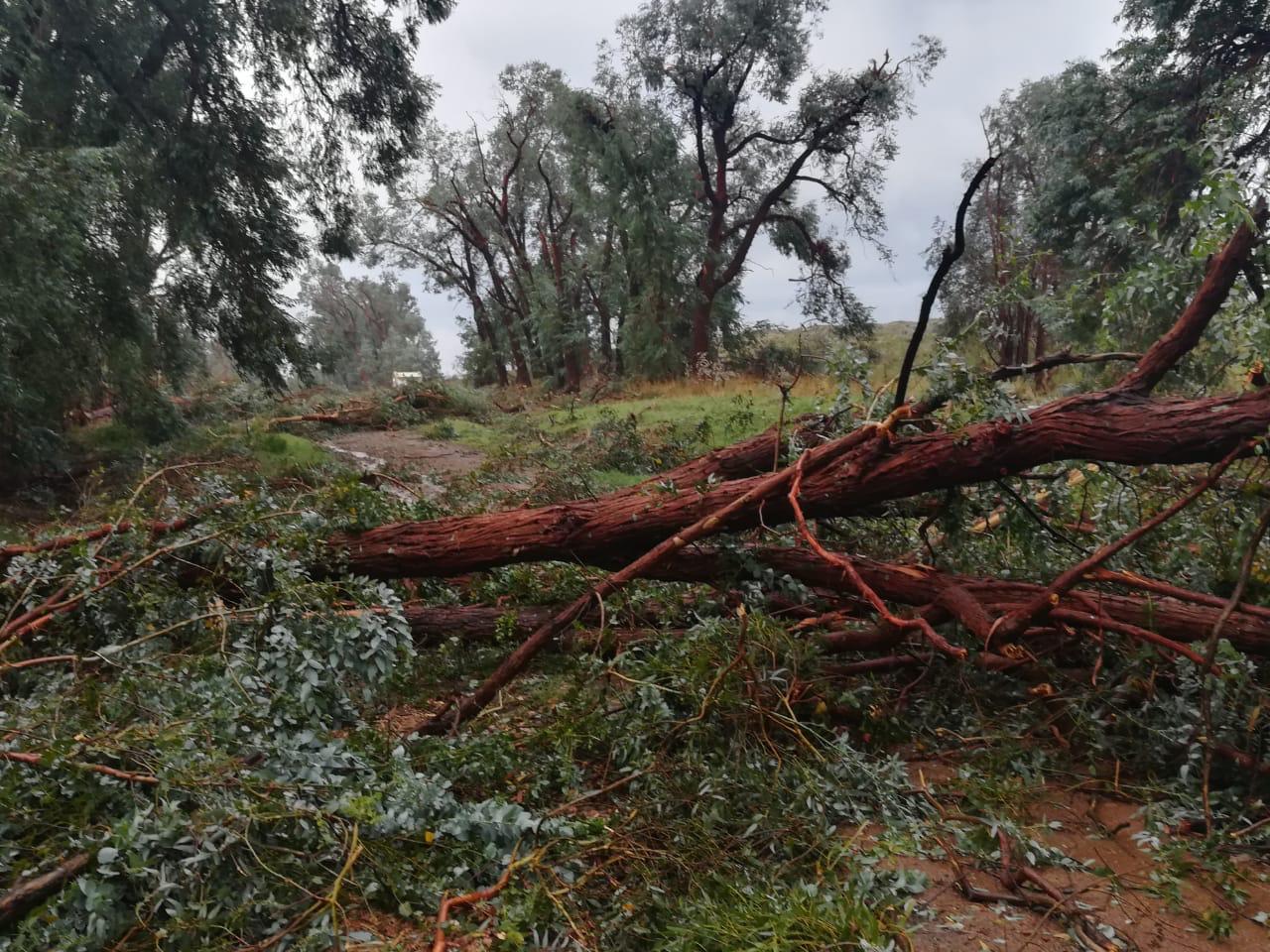 Un fuerte temporal provocó el vuelco de camiones y arruinó varios cultivos en Azul 4 Camiones Volcados 2