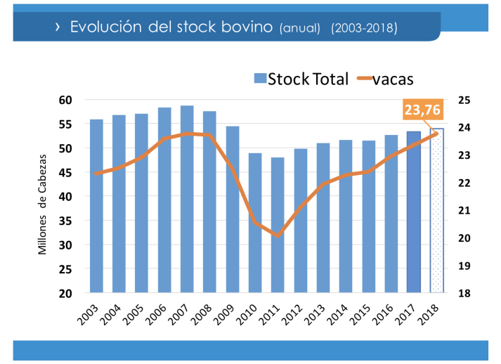 stock bovino