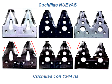 Recomendaciones del INTA para minimizar las pérdidas durante la cosecha 8 6