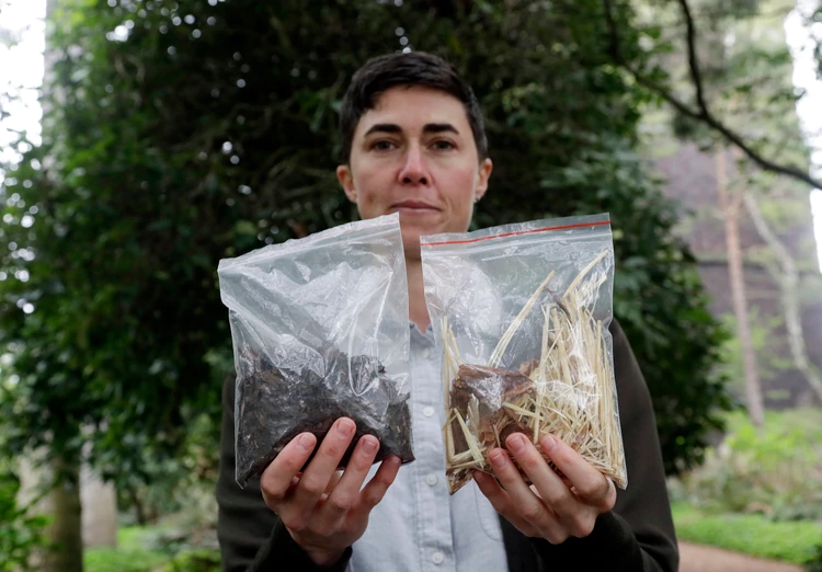 Compost humano: convertir los cadáveres en tierra para ayudar al medio ambiente 1 compost humano