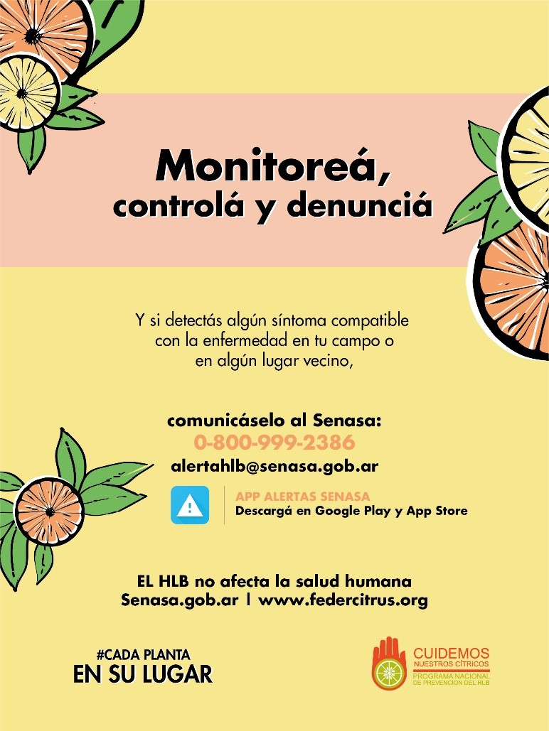 HLB: la importancia de prevenir esta enfermedad que no tiene cura 1 hlb cuerpo