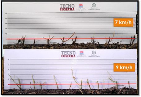 Recomendaciones del INTA para minimizar las pérdidas durante la cosecha 2 image004 1