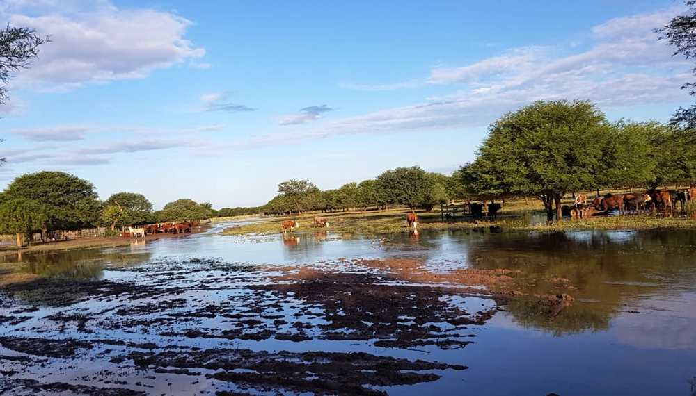 inundacioneschaco2