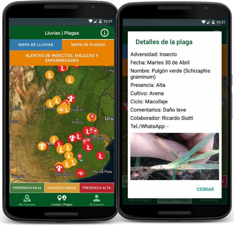 Un "Waze de plagas" permite acceder a alertas en tiempo real con mapas y fotos 1 IMG 0662
