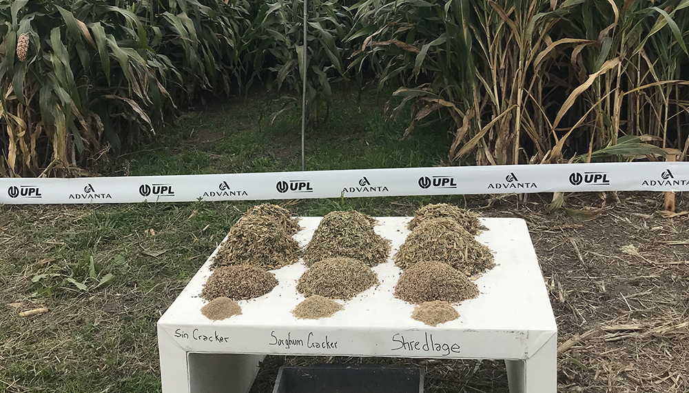 Presentaron el primer sorgo doble propósito igrowthth del mundo 1 IMG 0629