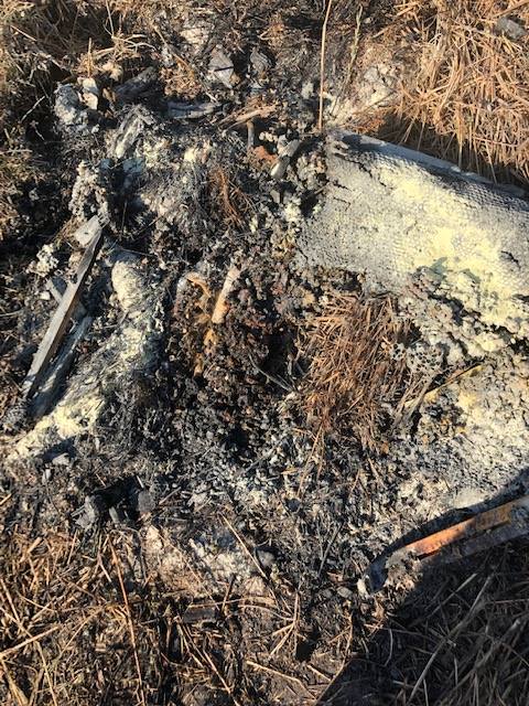 Medio millón de abejas fueron asesinadas tras un acto de vandalismo en EE.UU 2 abejas eeuu 2