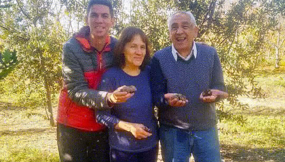 Una familia cosechó las primeras trufas de la Patagonia después de 8 años de espera 3 61403570 1352885001541716 4498134723867967488 n