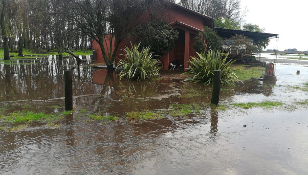 campo2