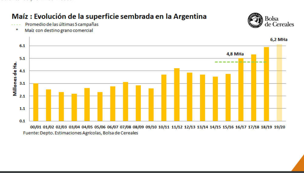El área de maíz se incrementaría la mitad de lo que esperaban 1 Maíz