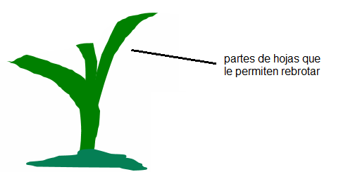 03 Imagen 2