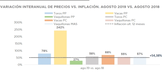 Angus Precios