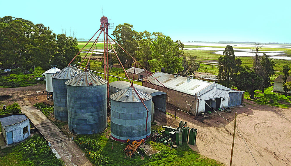 Campo 2