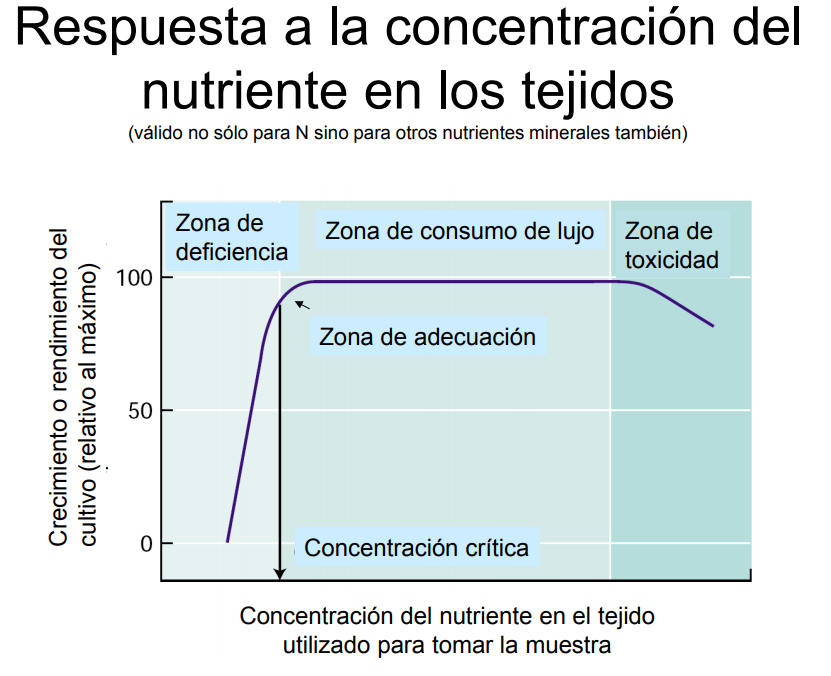 Cómo reconocer qué nutrientes les faltan a tus plantas 3 grafico deficiencias
