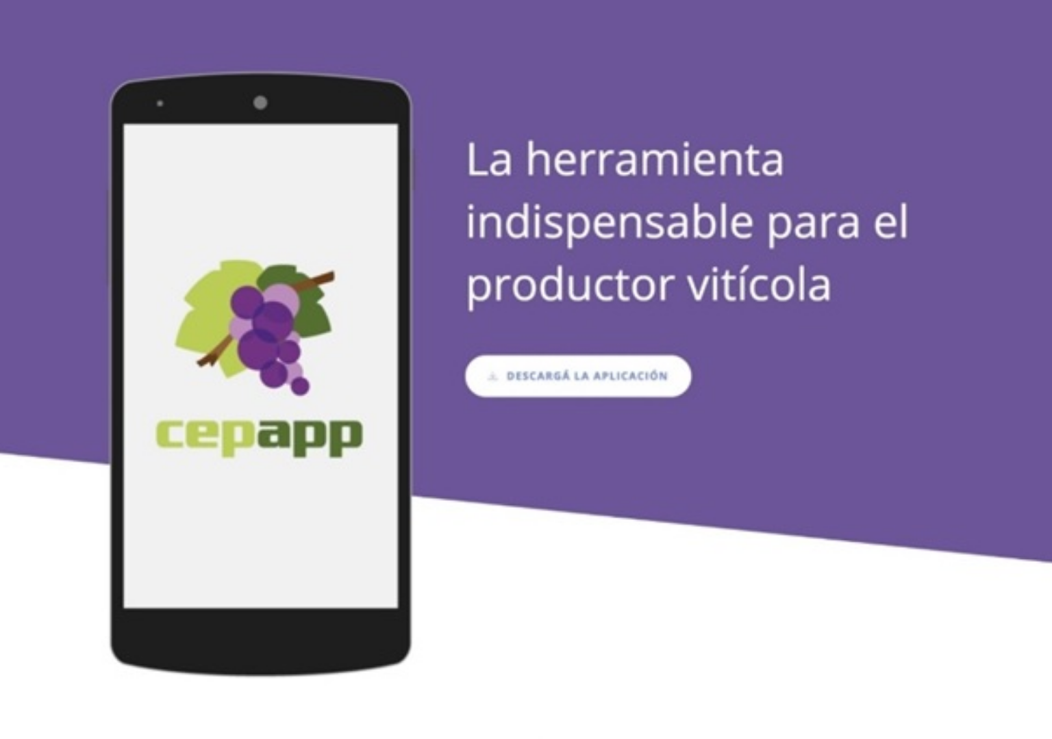 Ya está disponible la primera aplicación para productores vitivinícolas 1 CepApp