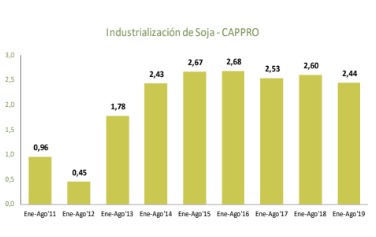 Seis meses de caída: el procesamiento de soja en Paraguay también bajó en agosto 1 Industrialización soja en Paraguay agosto