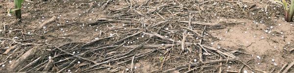 Tecnología agrícola Fertilización copia