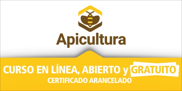 Un curso online invita aprender sobre el manejo productivo y sustentable en apicultura 1 apicultura curso