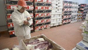 carne exportaciones