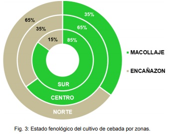 Por falta de lluvias, la condición del trigo del oeste bonaerense va de buena a regular 3 cebada