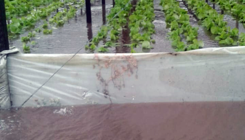inundacion quinta mte 6