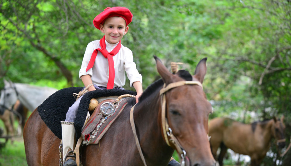 Cómo la interacción con caballos beneficia a los niños 1 nene caballo
