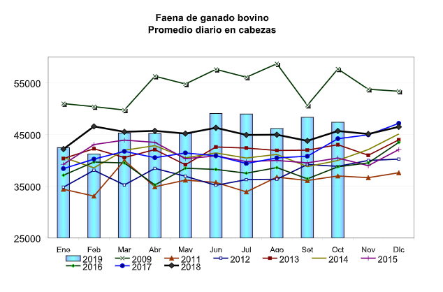 La faena de bovinos superó los 1,3 millones de cabezas en octubre 1 1