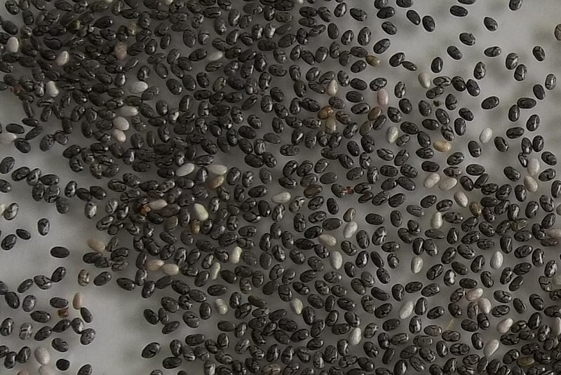 chia 1