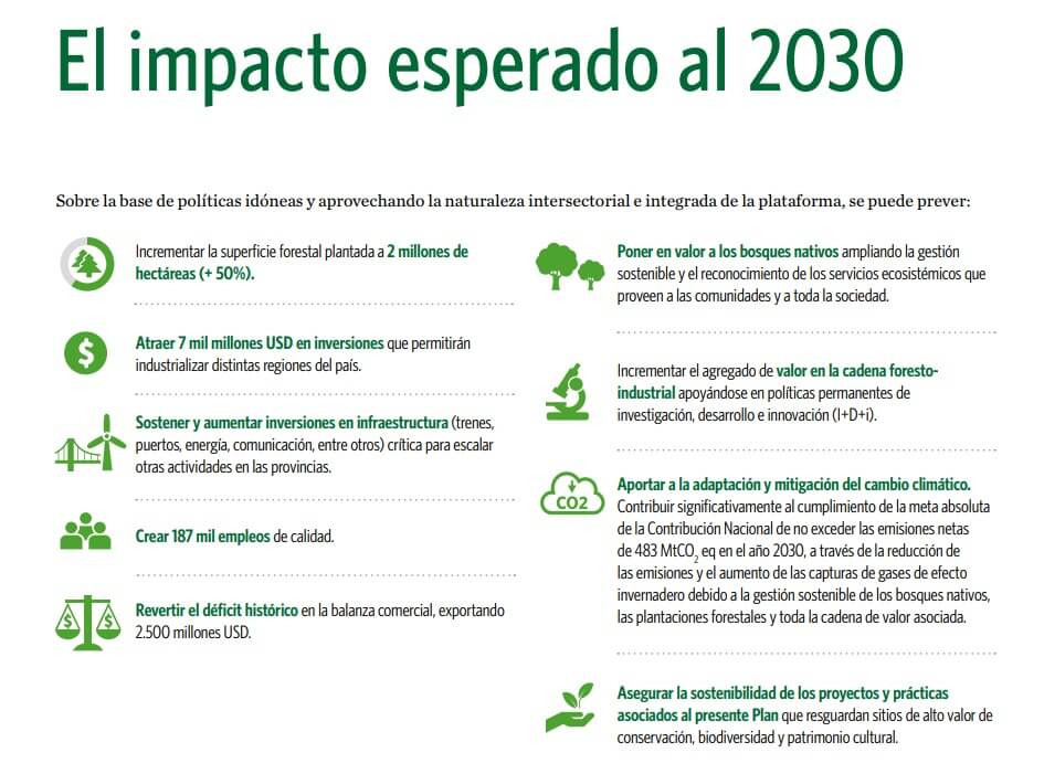 Cuáles son las expectativas para 2030 del sector forestal nacional 1 impacto forestal 1